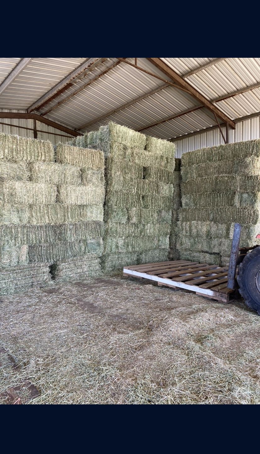 Hay For Sale