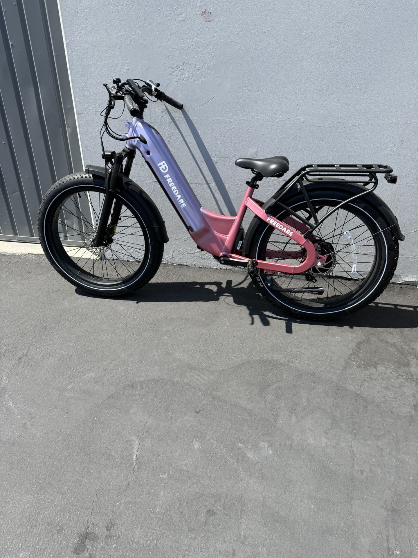 Electric Bike