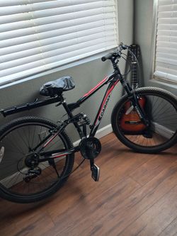 ECARPAT adult bike