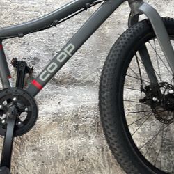 Coop Mountain Bike 24 Rev