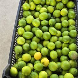 Caja De Limon 