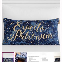 Pottery Barn, Harry Potter Pillow