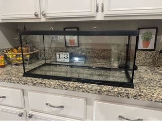 Zoo Med 20 gallon bearded dragon enclosure