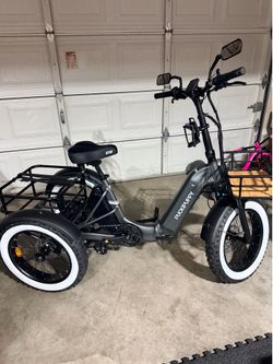 Puckipuppy e-trike