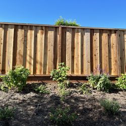 Fence