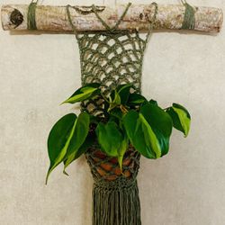 4” trellis design hand crocheted plant hanger on birch wood