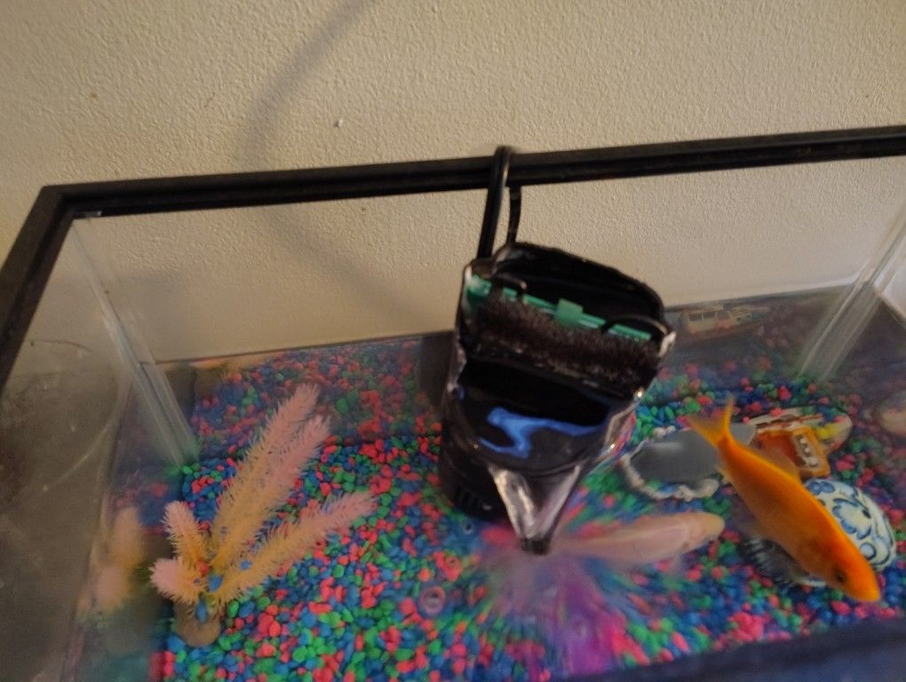 5 GALLON TANKS
