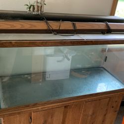 75 Gallon Fish Tank, Used For Freshwater 