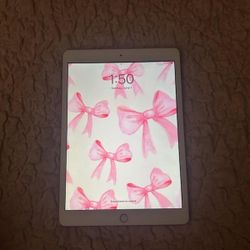 Apple Ipad 