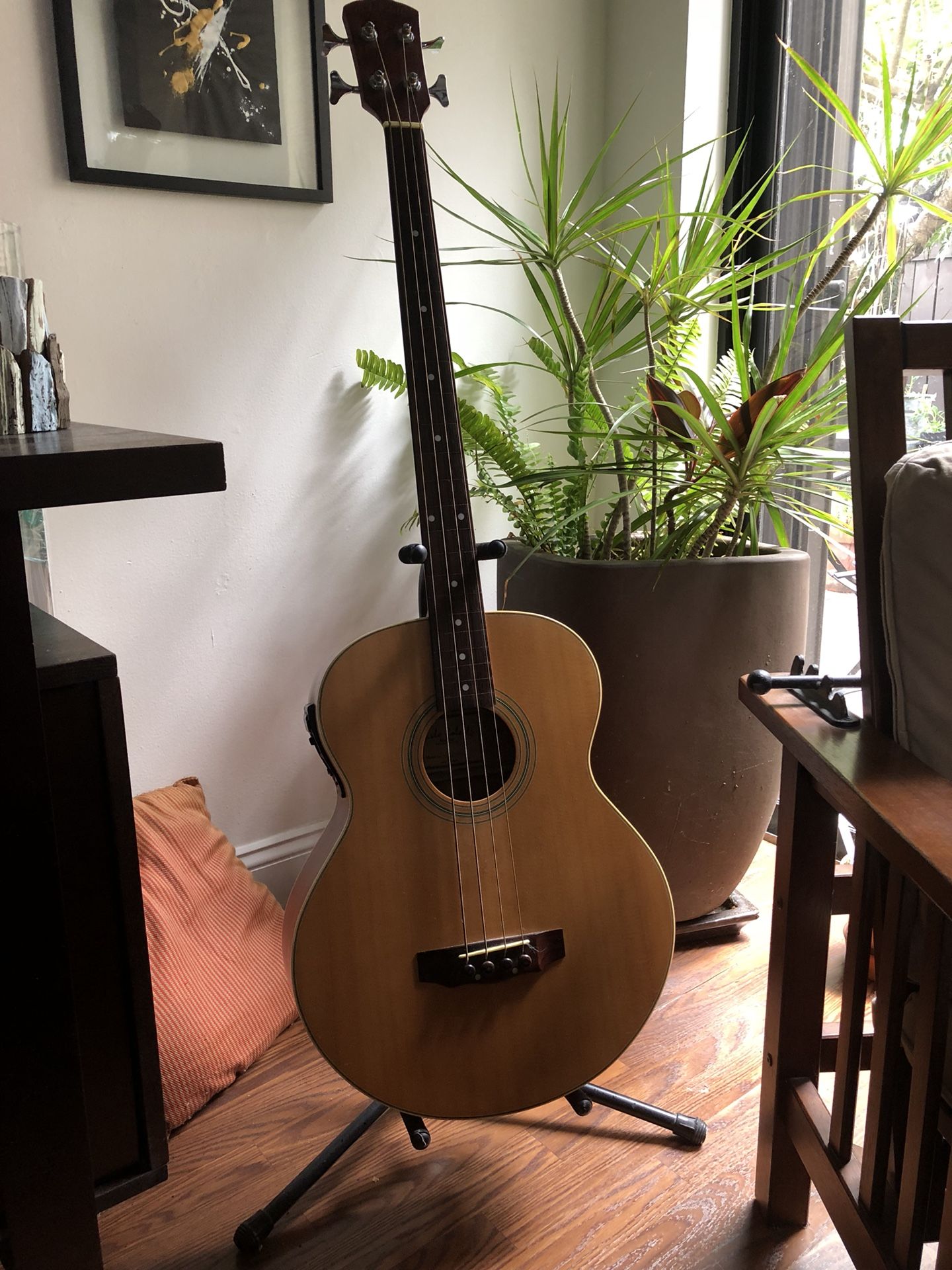 Acoustic Electric Bass Carlo Robelli