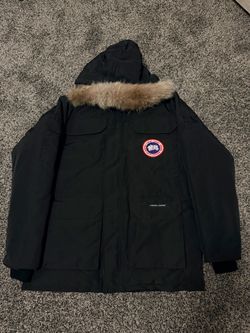 Canada goose