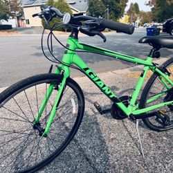 Two Giant Bikes For Adults 