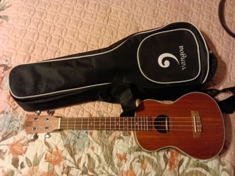 Vangoa Guitar