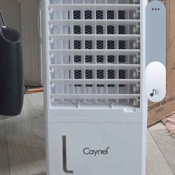 Carnelian Evaporative Air Cooler