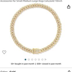 Gold Dog Or Cat Collar 