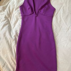 Purple Dress 