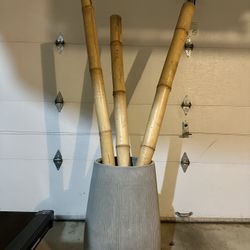 Bamboos For Decoration $15/each