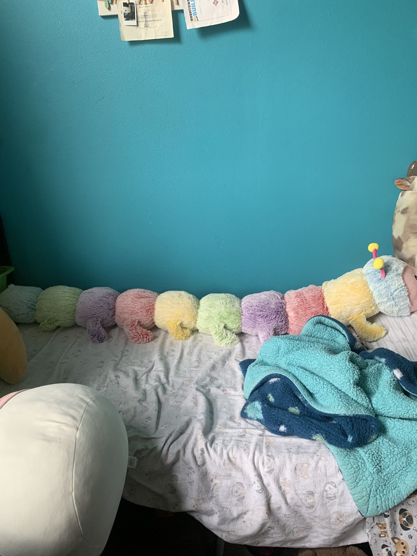 Giant Rainbow Caterpillar