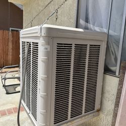 Cooler