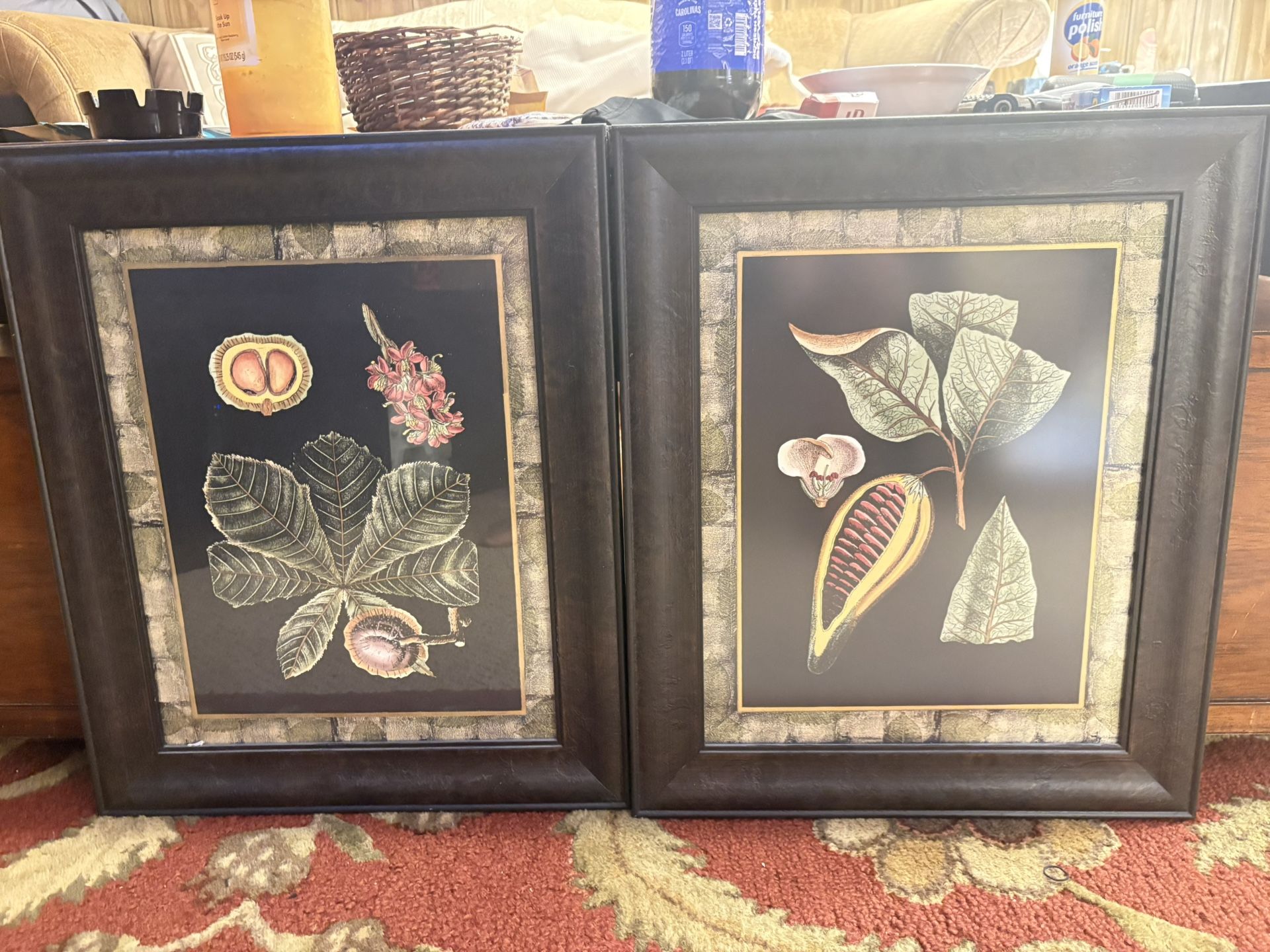 2 Framed Prints