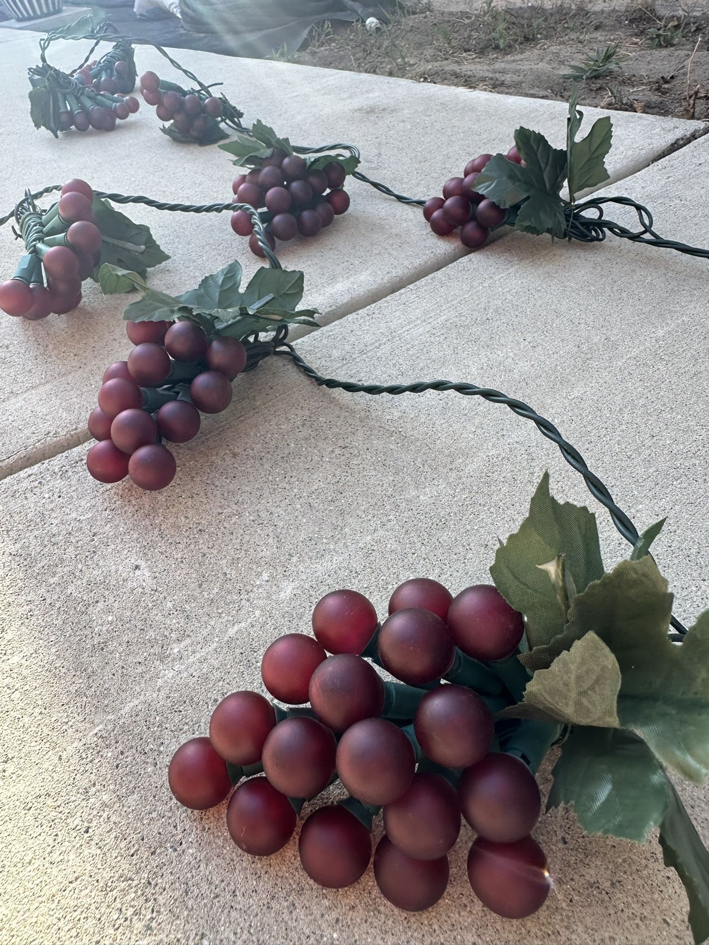 2 Indoor / Outdoor String Lights Red Grape Cluster 6 Cluster String