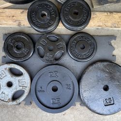 Assorted Standard Weight Plates 
