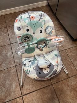 Baby Bouncer