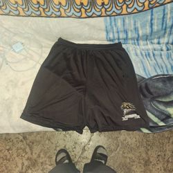 XL P.E. Shorts 