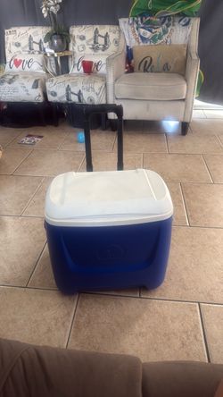 Igloo ice chest