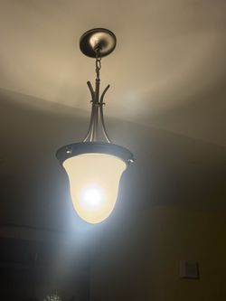 Brushed Nickel Transitional Pendant Light