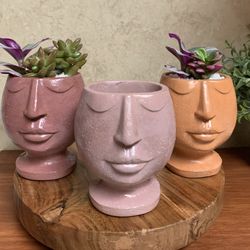 Nordic Face Planter / wondering Lady Planter