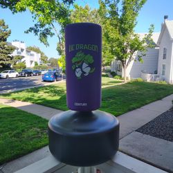 Dragon Brand Kickboxing Practice Bag