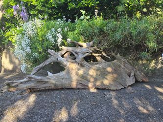 Large 3ft+ Sculptural Saltwater Driftwood