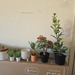 Fake Plants