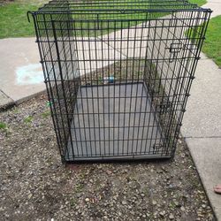 Big Dog  Cage