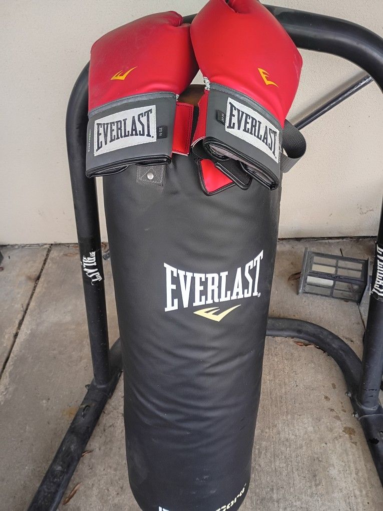 Everlast Dual Heavy Bag Stand