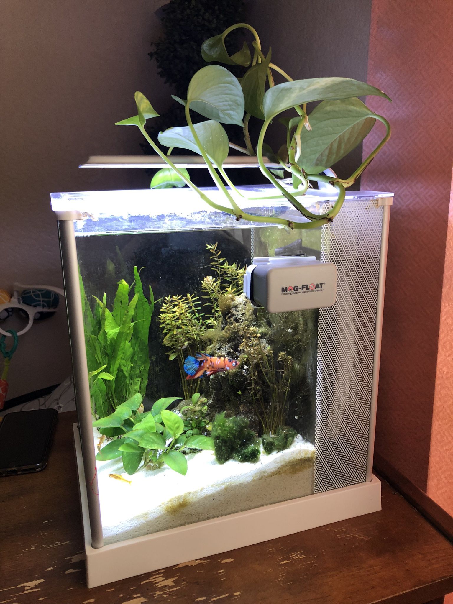 Fluval Spec 2.6