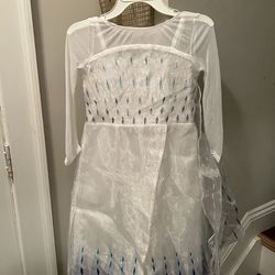 Elsa Dress/ Costume  