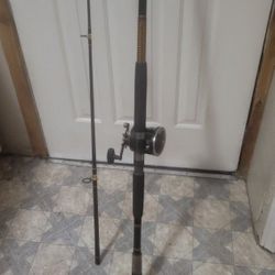 12' UGLY STICK 1100  ROD , Penn 330 Reel .