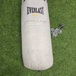 EverLast Punching Bag