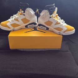 8.5 AIR JORDAN 6 RETRO 