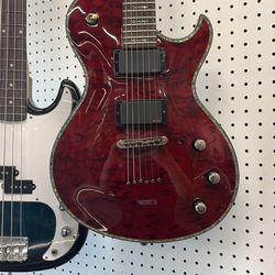Schecter guitar
