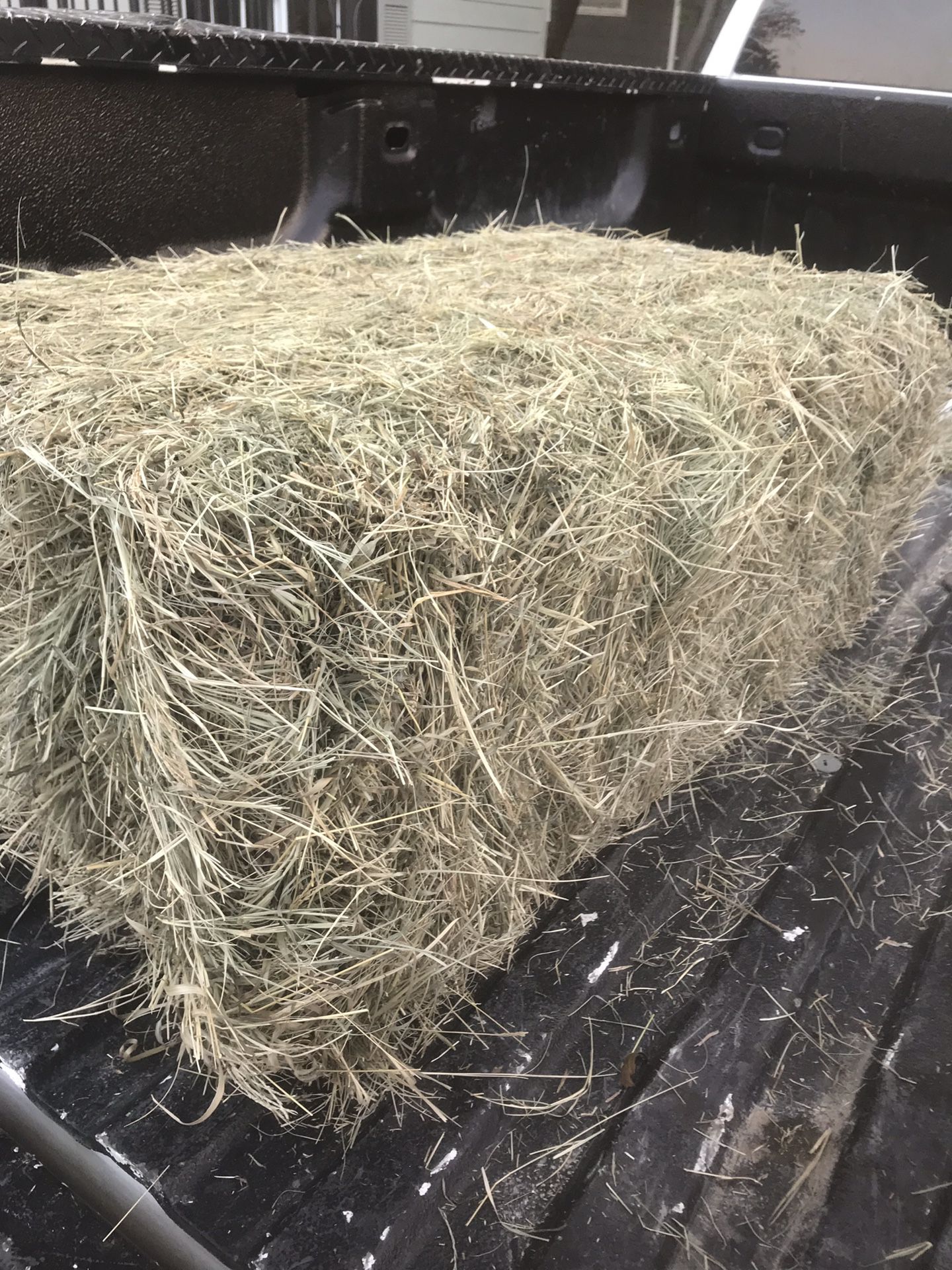 Award winning coastal hay