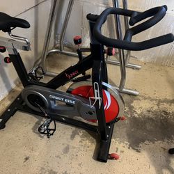 Sunny Bike Exercise Bike