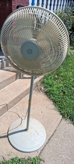 Tall oscillating fan