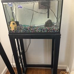 Top Fin Aquarium And Stand 