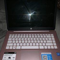 Hp Rose Gold 