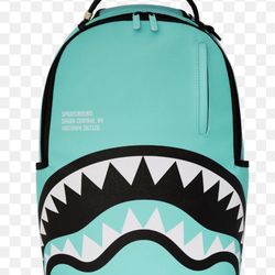 Teal And Blue Spray Ground Backpack 