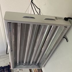Grow Light