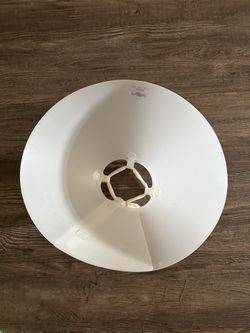 medium-large dog cone